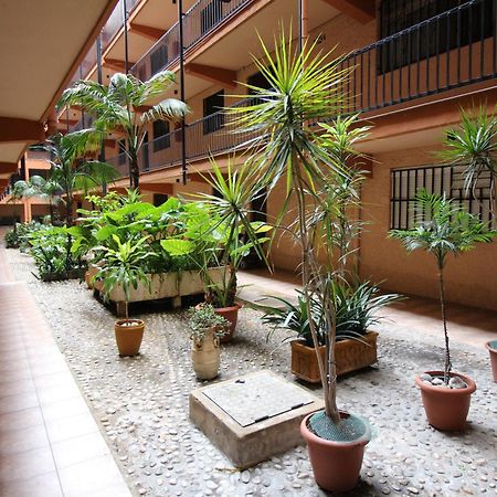 Apartamento Benidorm 3 Bagian luar foto